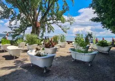 All 4 Dentist Zahnaerztliche Abrechnung Mainau 2021 20210709_1_140357