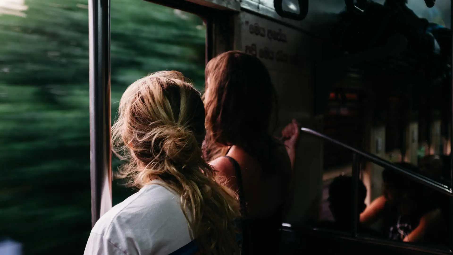 All 4 Dentist Zahnaerztliche Abrechnung Dschungel Bild 3 Fredrik Ohlander LswLpUWxfbU Unsplash