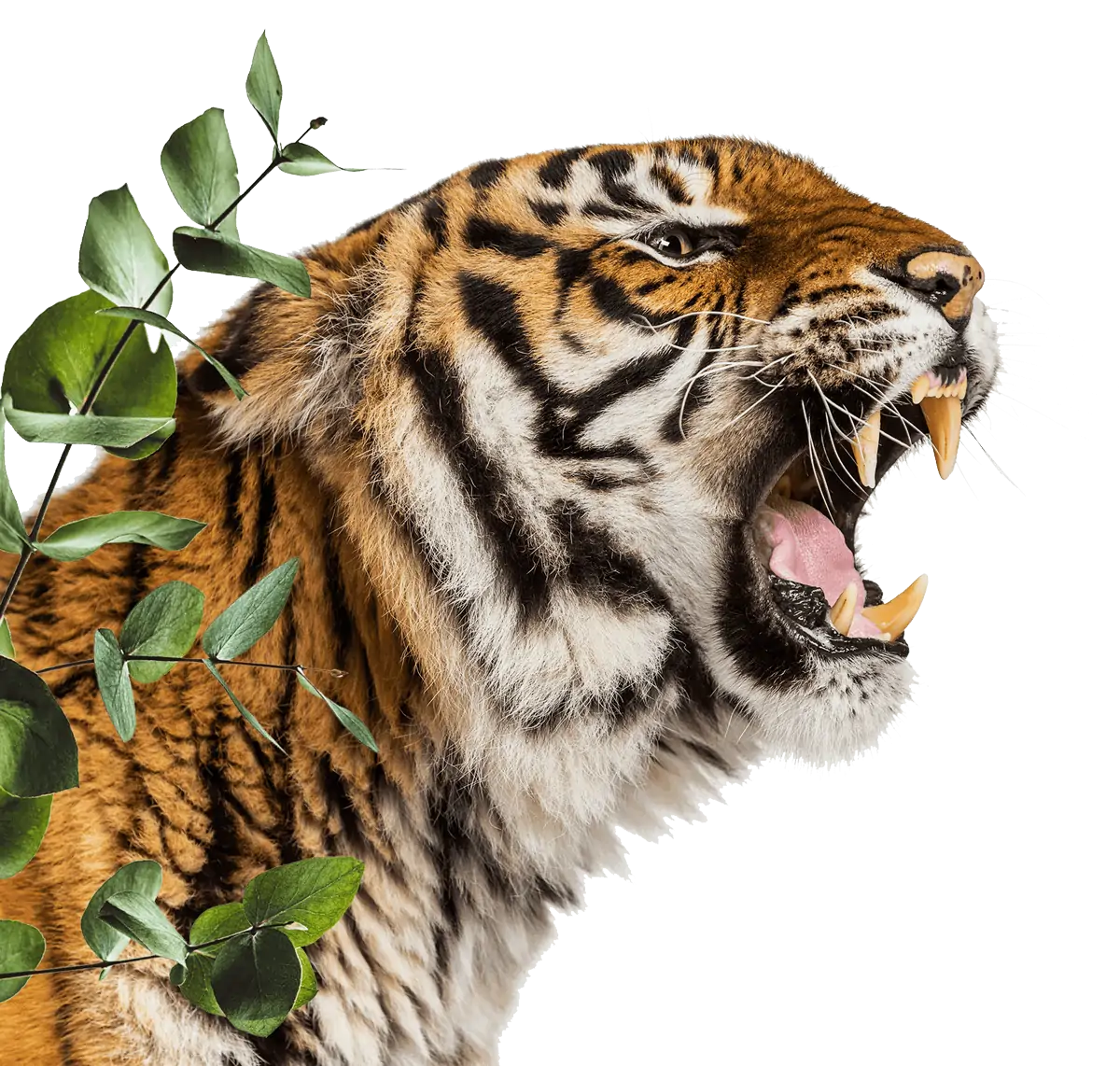 Test 1